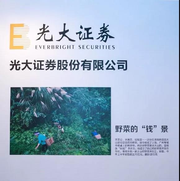 3044am��������3044noc(�й���)�ٷ���վ