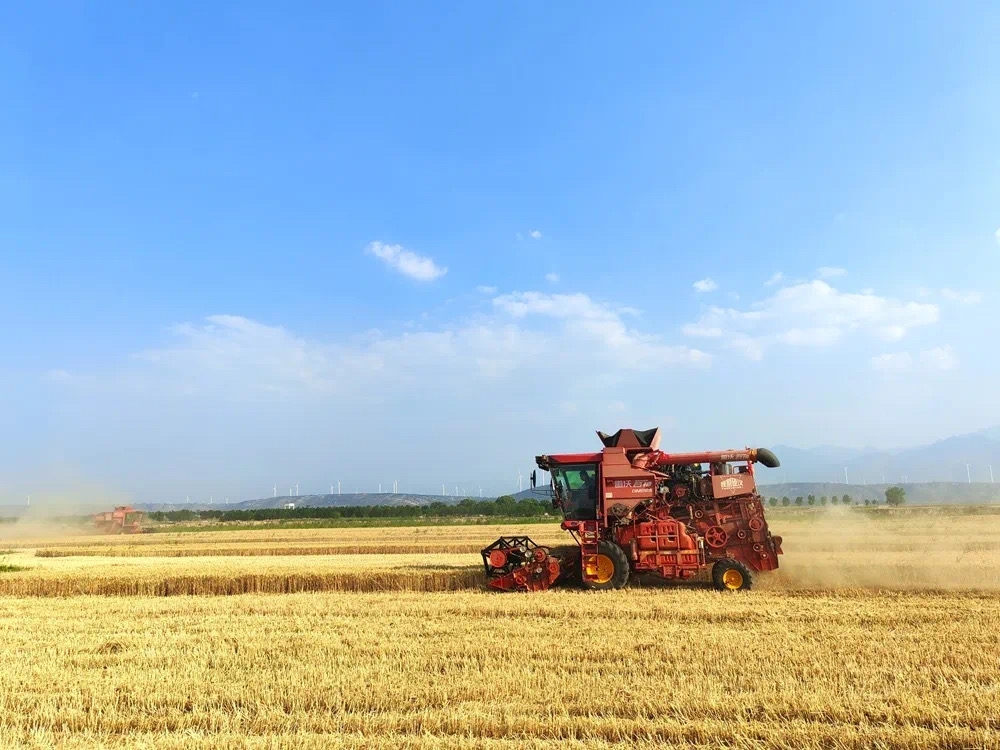 3044am��������3044noc(�й���)�ٷ���վ